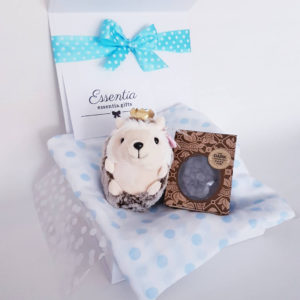 Personalised Gift Box Baby Choc Buds Hedgehog Essentia